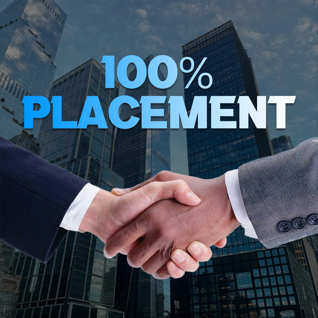 Wikpolt Placement and Career Support